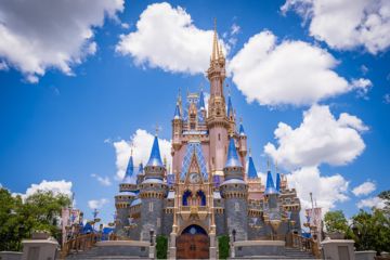 Summer vacation trends