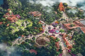 Disney theme park earnings