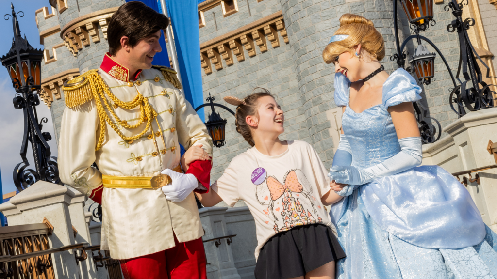 Cinderella Castle repainting