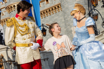Cinderalla Castle Repainting