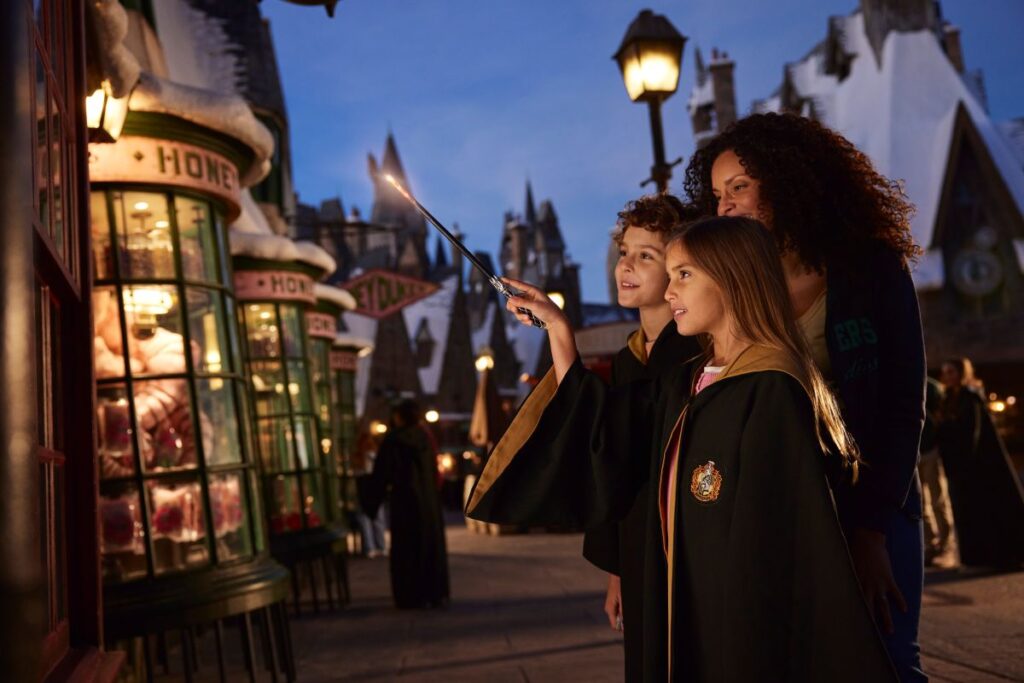 Harry Potter Wands