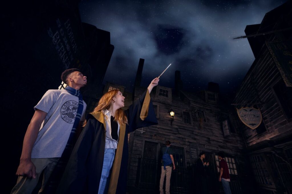 Harry Potter Wands