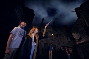 Harry Potter Wands