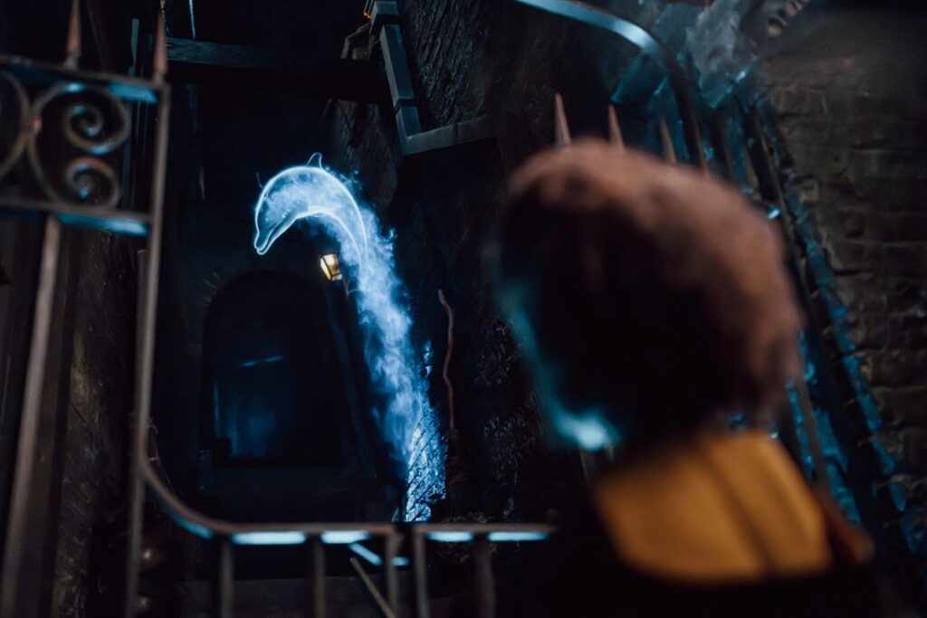 Harry Potter Wands
