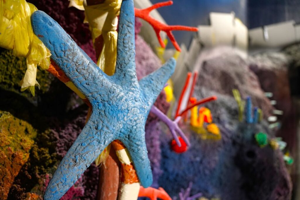 Sea Life Florida