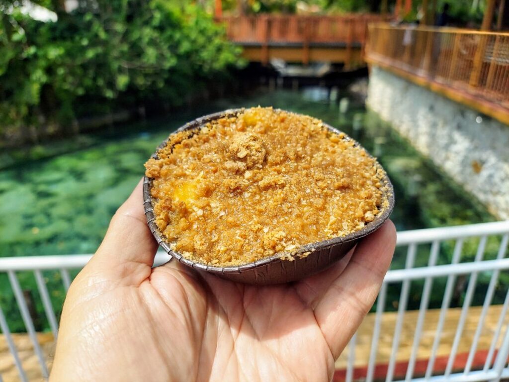 Busch Gardens Apple Cobbler