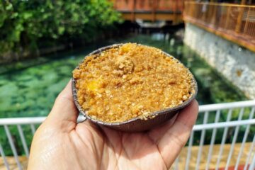 Busch Gardens Apple Cobbler