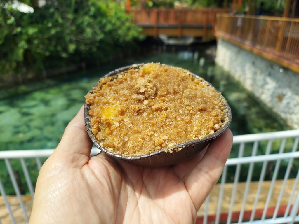Busch Gardens Apple Cobbler