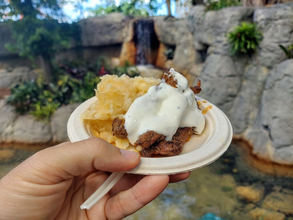 Busch Gardens Tampa Bay