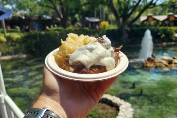 Busch Gardens Tampa Bay