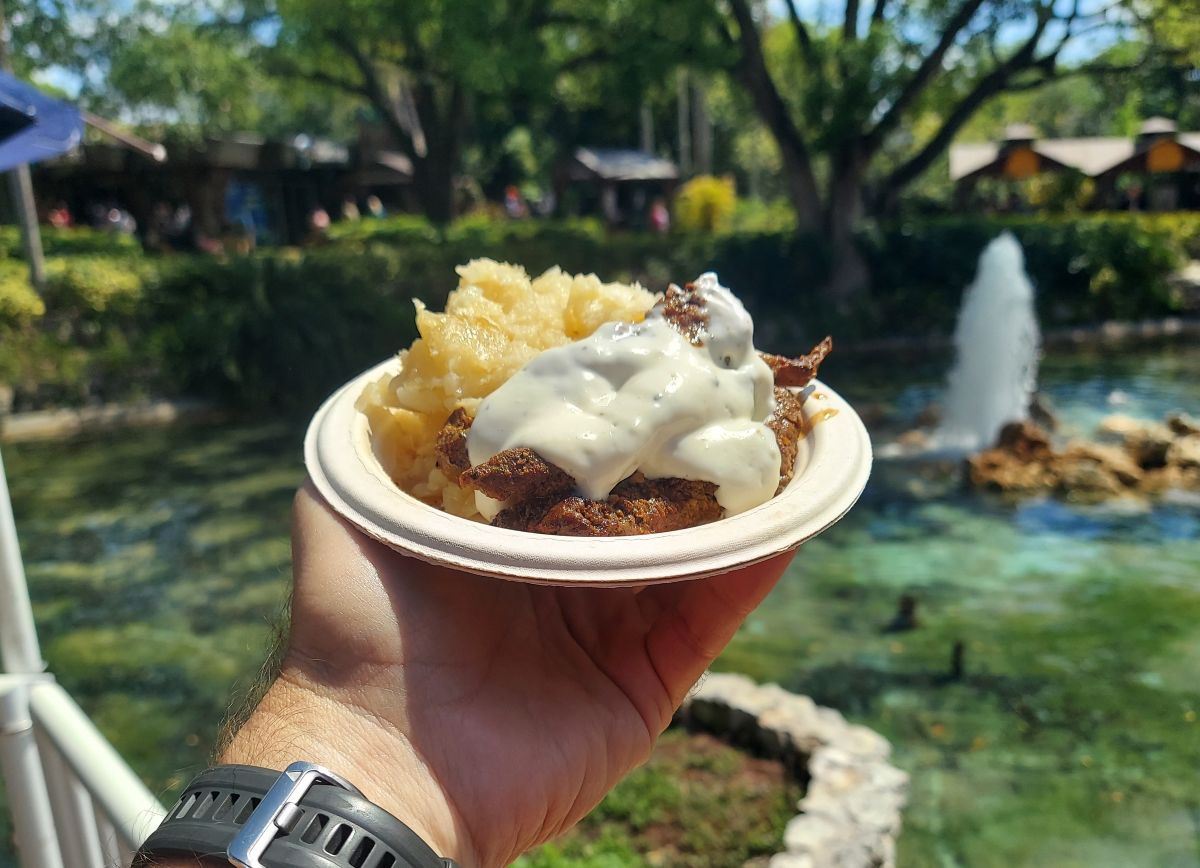 Busch Gardens Tampa Bay Food & Wine: Churrasco Steak Review