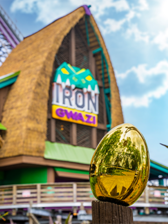 Busch Gardens Tampa