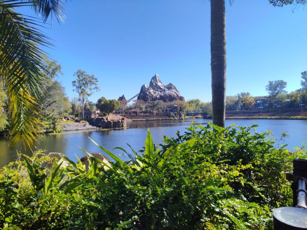 Flame Tree Barbecue