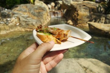 Pork Pinchos