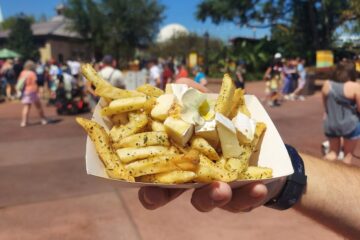 Provenmce Poutine