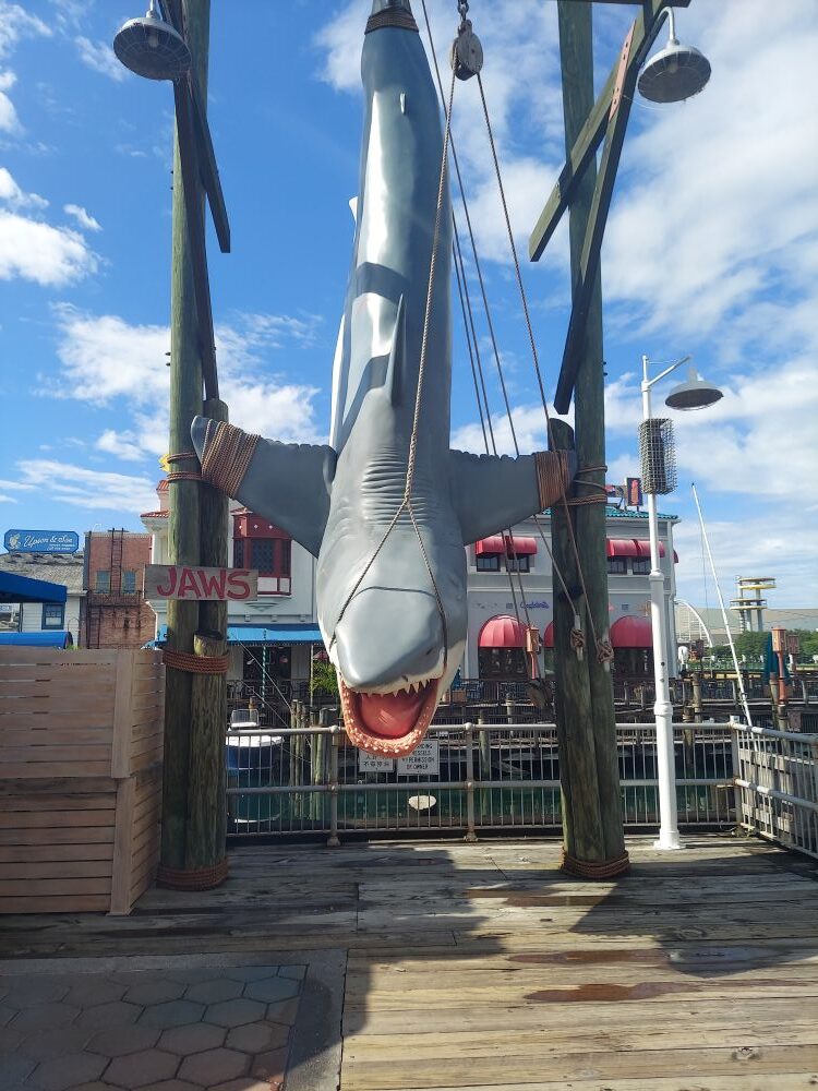 Jaws 50th Anniversary