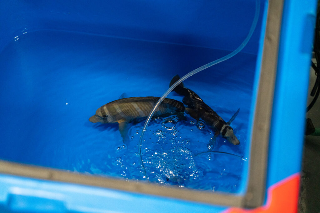 Sea Life Florida