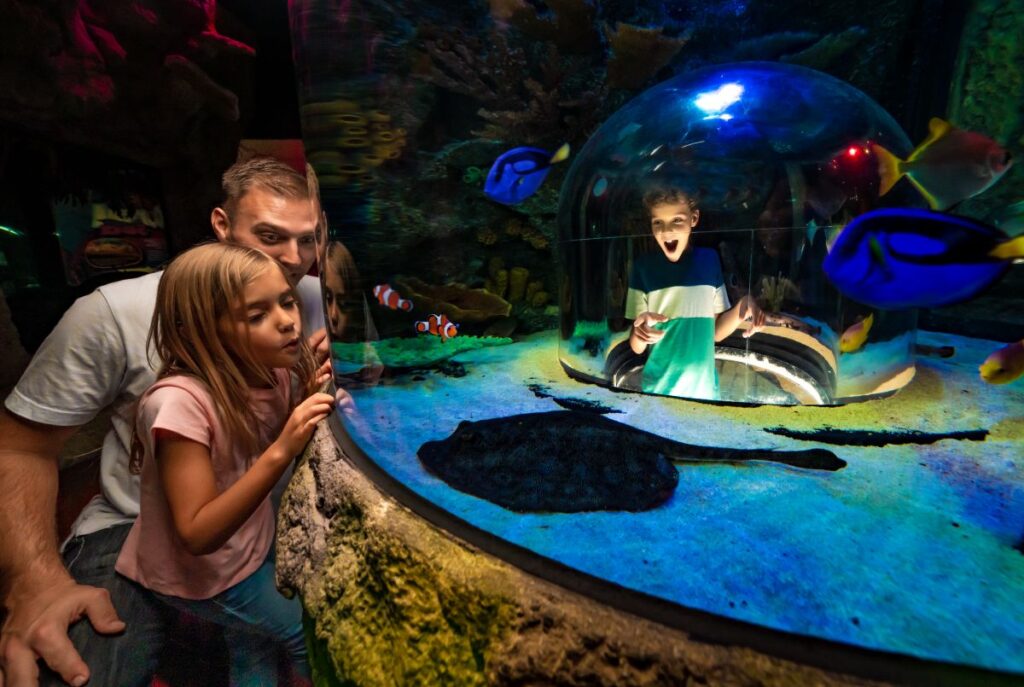 Sea Life Florida