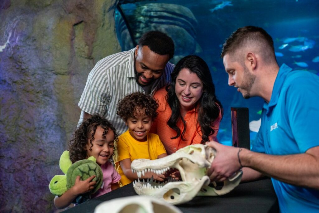 Sea Life Florida