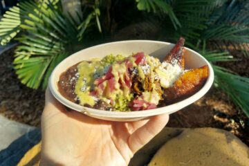 TOMA Beef Barbacoa
