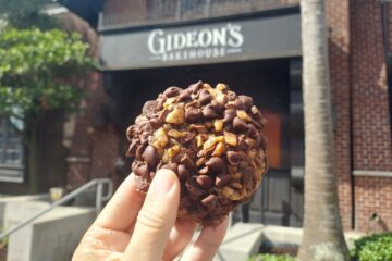 Disney Springs Dining Update