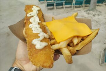 Aquatica Orlando Food Review