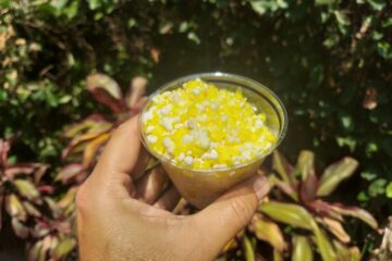 Hawaiian Crumble Dippin' Dots