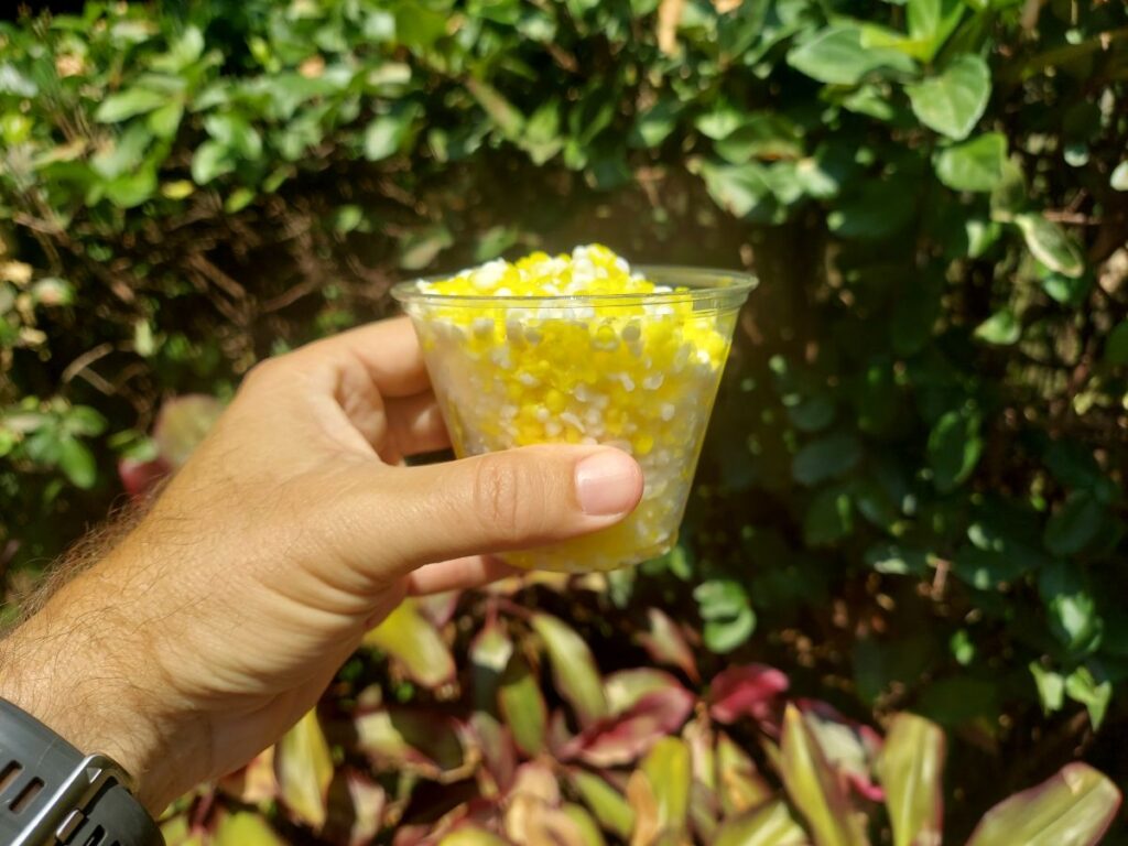Hawaiian Crumble Dippin’ Dots