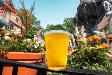 FRee Beer Busch Gardens