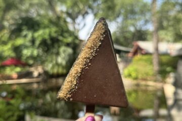 Animal Kingdom New Treats