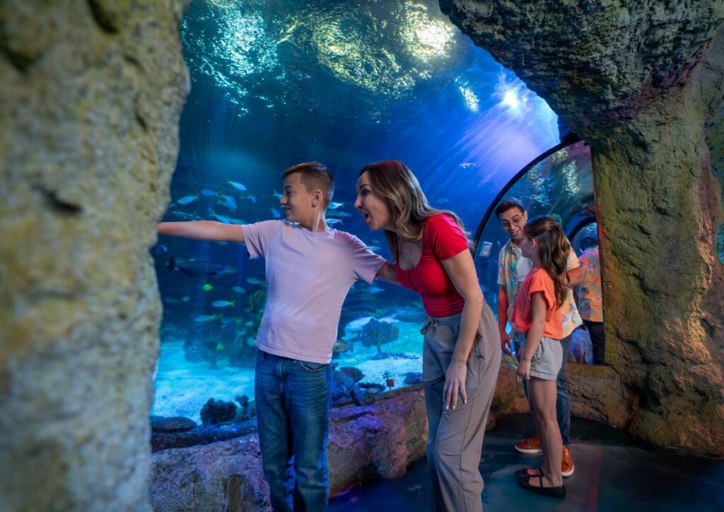 Sea Life Florida Legoland