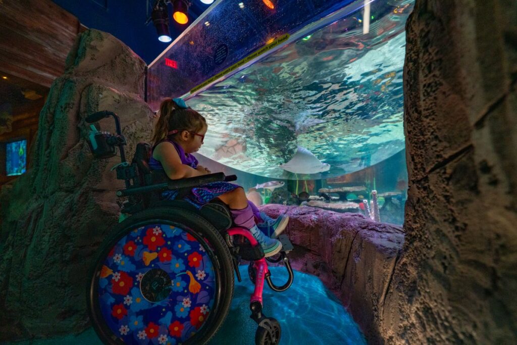 Sea Life Floirda Legoland