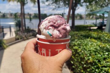 Salt & Straw Berries Series