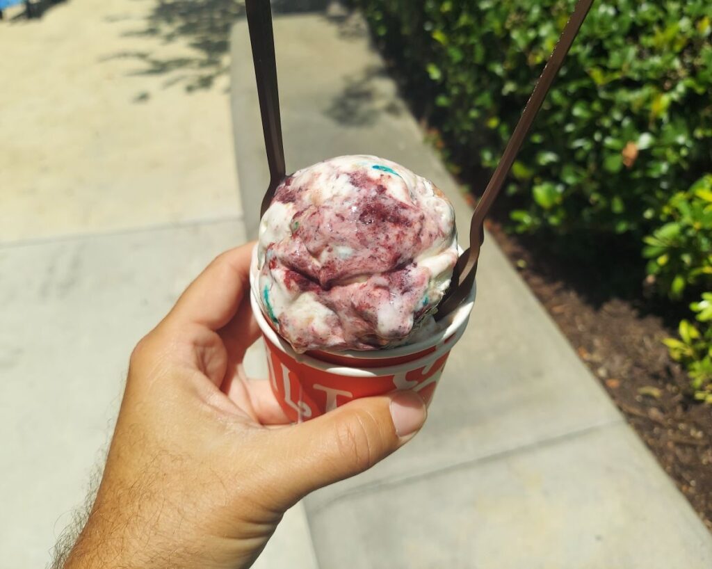 Salt & Straw Berries Series