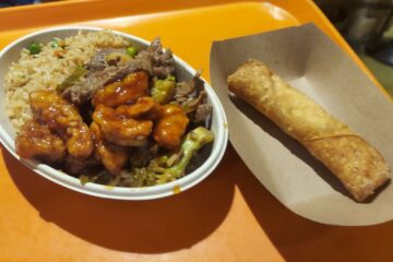 Dragon Fire Grill Tampa