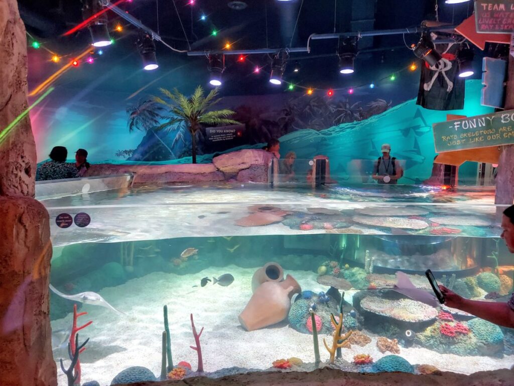 Sea Life Florida Legoland