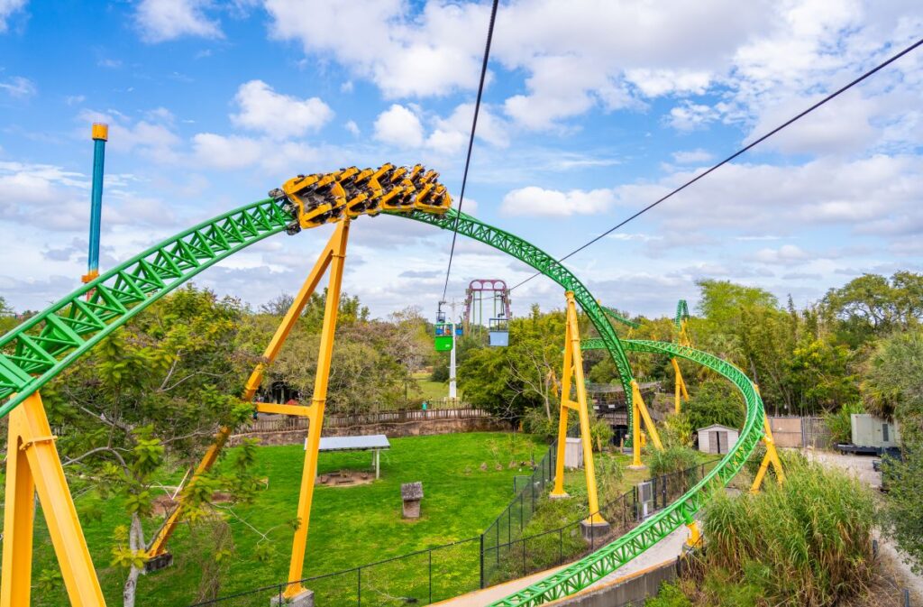 National Roller Coaster Day