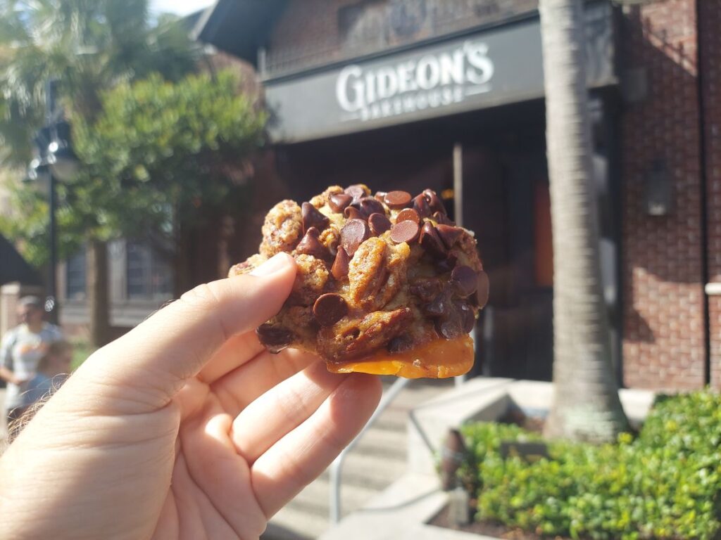 Sea Turtle Cookie