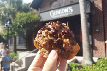 Sea Turtle Cookie