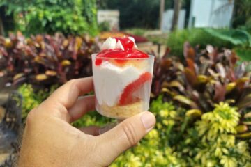 Busch Gardens Fraisier