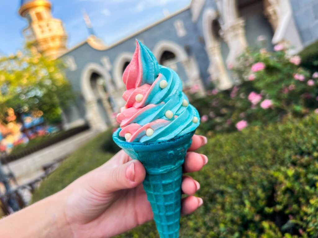 Princess Week Disney World
