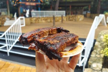 Busch Gardens Ribs Review