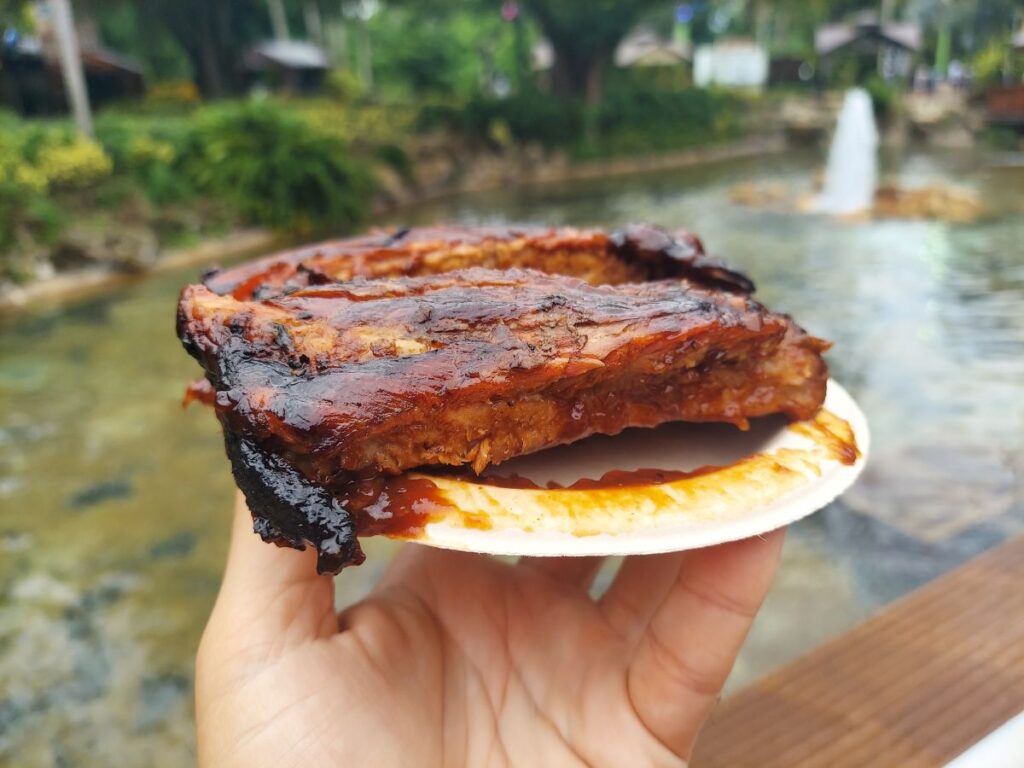 Busch Gardens Ribs Review