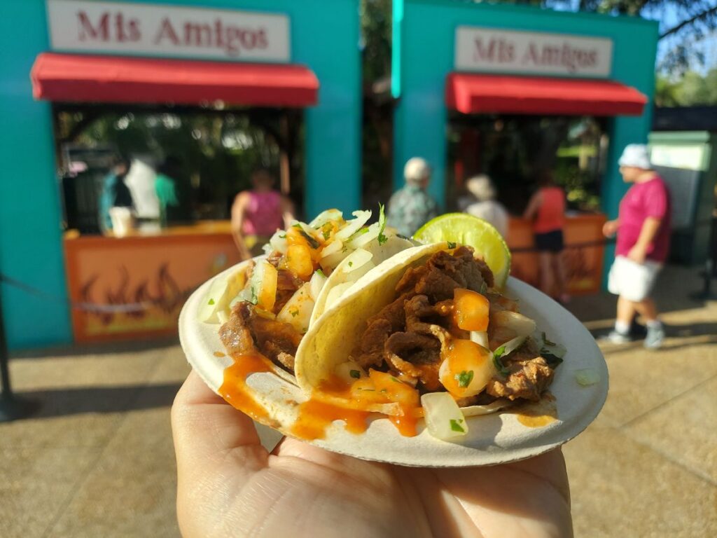 Churrasco Street Taco