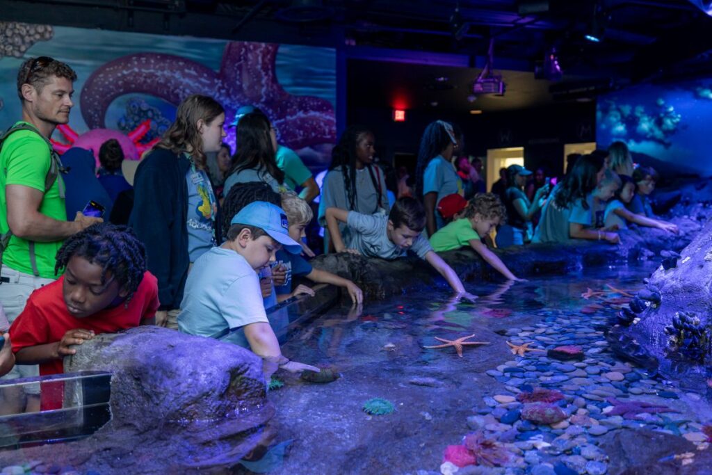 Tide Pool Florida Aquarium