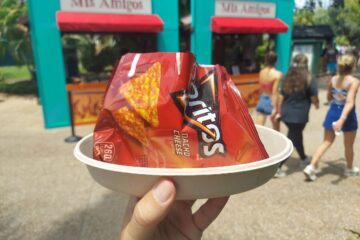 Festival Walking Taco Review