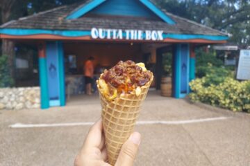 Brisket Mac Cone