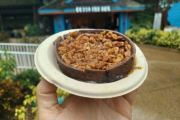 Chocolate Pecan Tart