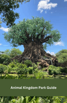 Animal Kingdom Park Guide