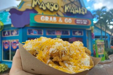 Buffalo Chicken Fries Aquatica Orlando